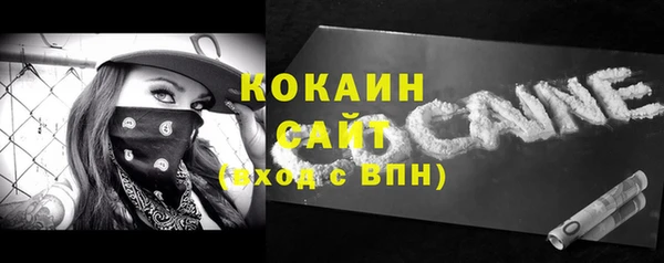 индика Коряжма