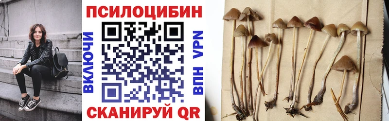 продажа наркотиков  Верхнеуральск  Псилоцибиновые грибы Cubensis 